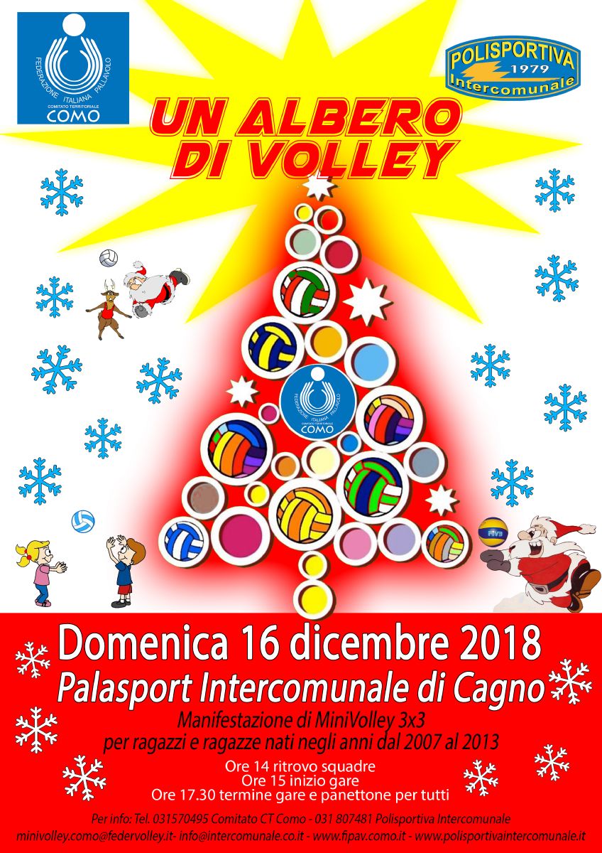 resized Volantino Albero Volley 2018